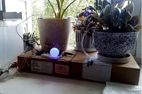 Alexander Troshkov's Arduino-Powered Neuronal Irrigation System
