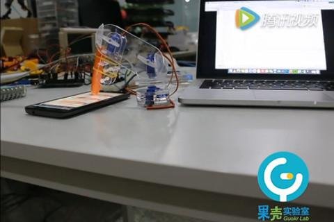 Celebrating the Chinese New Year with a Ham Robot